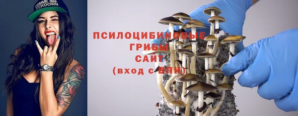 метадон Козловка