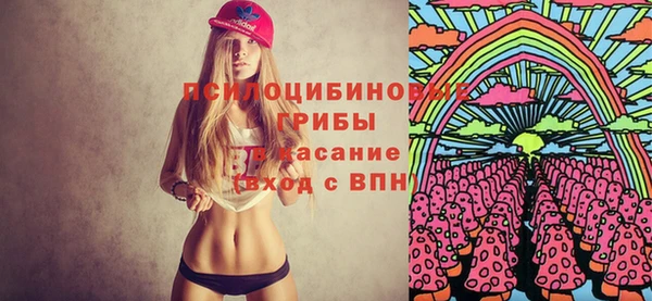 метадон Козловка