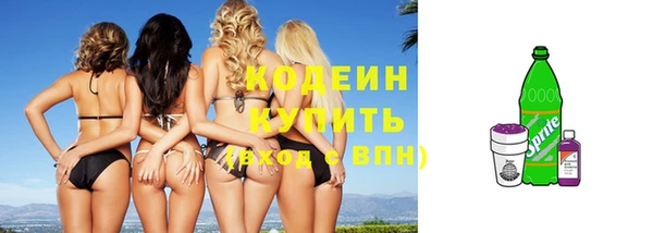 ГАЛЛЮЦИНОГЕННЫЕ ГРИБЫ Кодинск