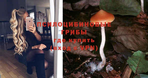 ГАЛЛЮЦИНОГЕННЫЕ ГРИБЫ Кодинск