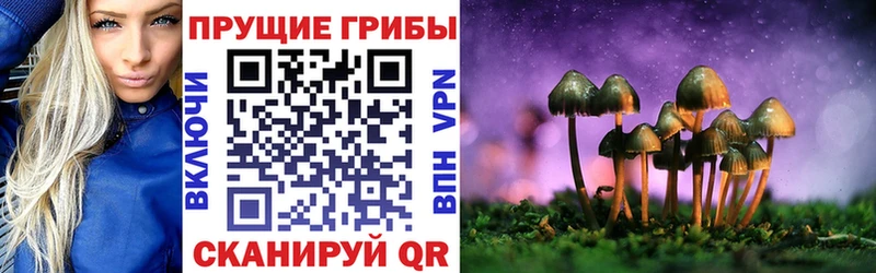 Псилоцибиновые грибы мицелий Зеленоградск