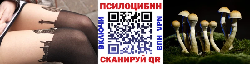 Галлюциногенные грибы мицелий  Купить  Зеленоградск 